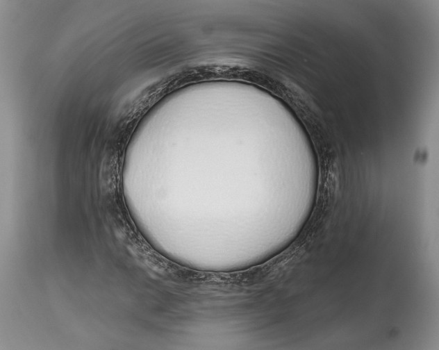 X0000114001014200910231747
