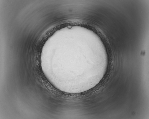 X0000114001016200910231747
