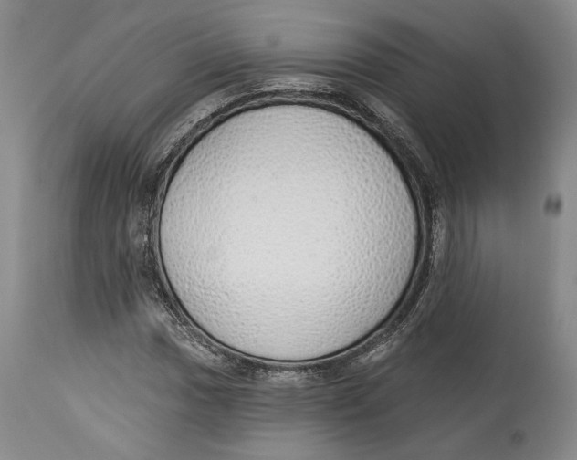X0000114001017200910231747