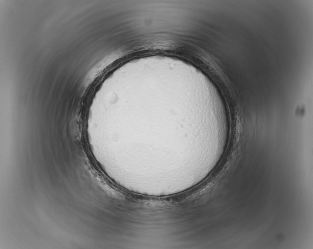 X0000114001018200910231747