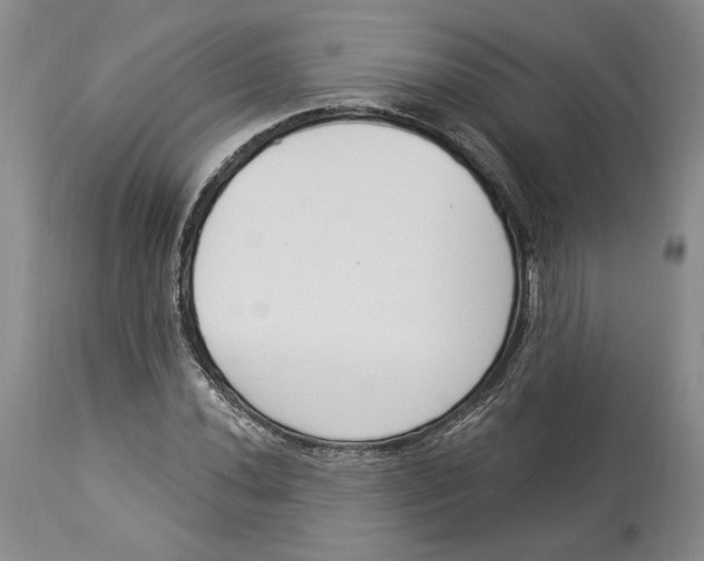X0000114001020200910231747