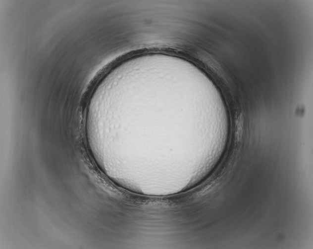 X0000114001021200910231747