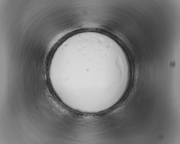 X0000114001022200910231747