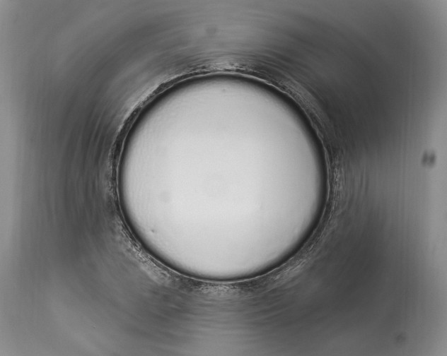 X0000114001023200910231747