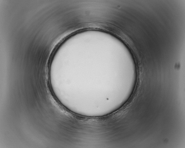X0000114001028200910231747