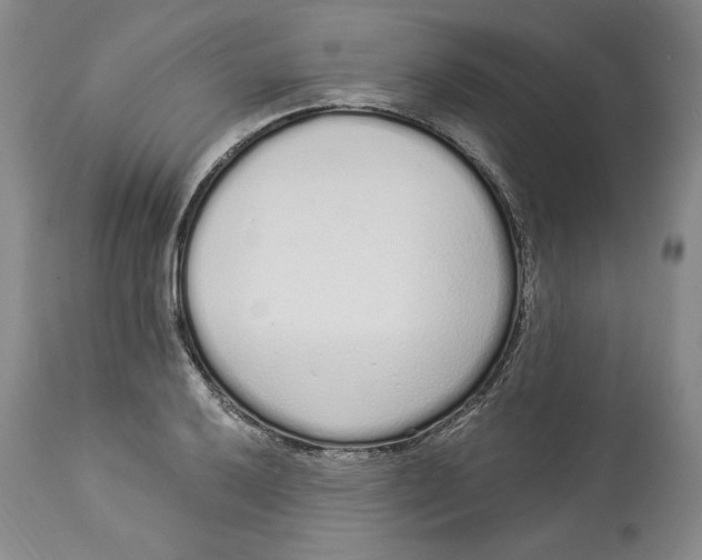 X0000114001032200910231747
