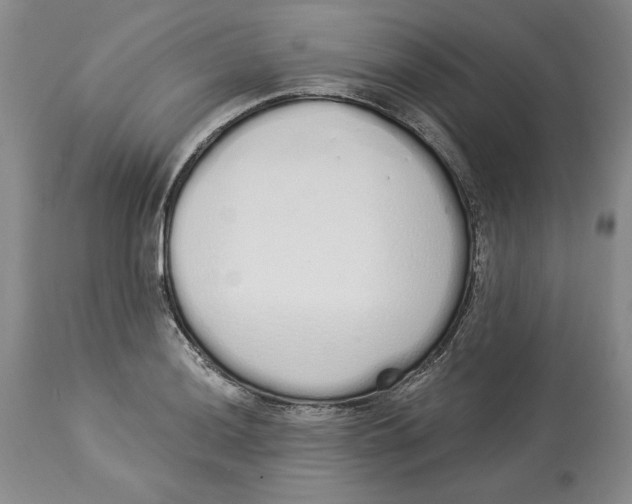 X0000114001036200910231747