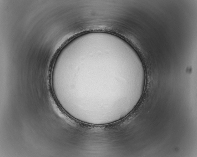 X0000114001038200910231747