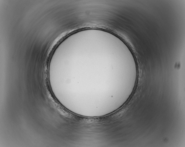 X0000114001040200910231747