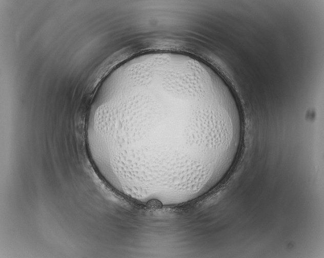 X0000114001041200910231747