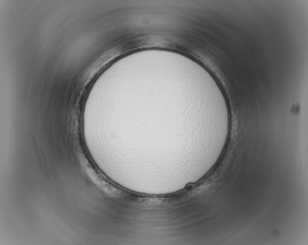 X0000114001042200910231747