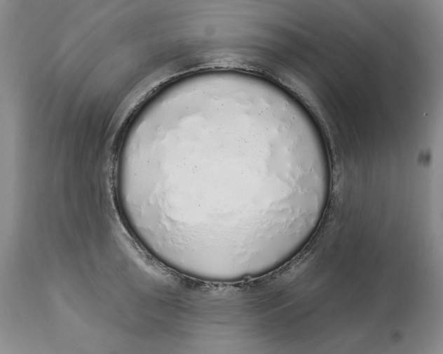 X0000114001043200910231747