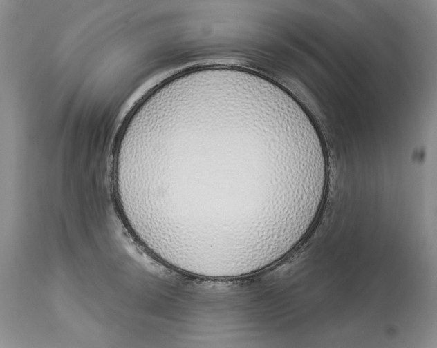 X0000114001044200910231747