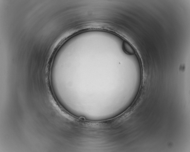X0000114001045200910231747