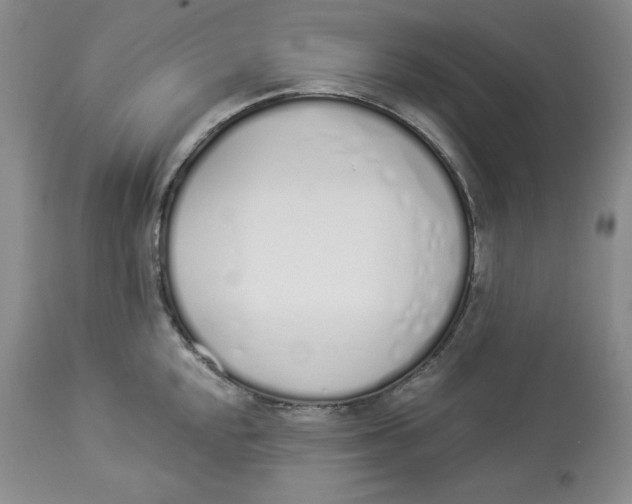 X0000114001048200910231747
