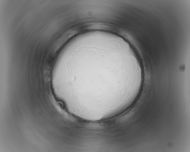 X0000114001049200910231747