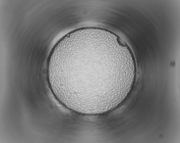 X0000114001053200910231747
