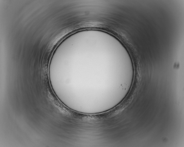 X0000114001073200910231746