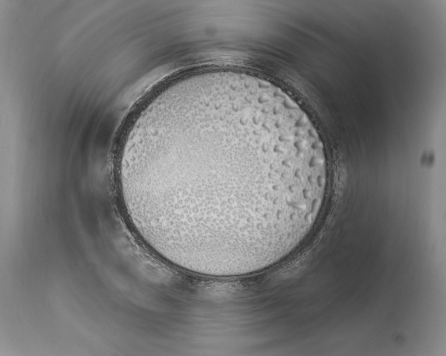 X0000114001074200910231746