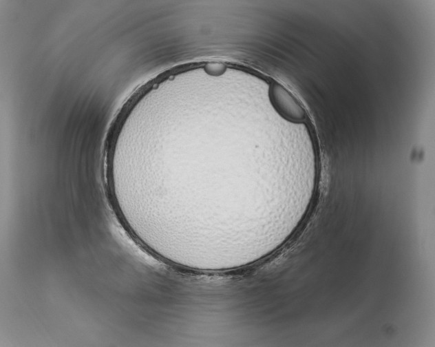 X0000114001080200910231746