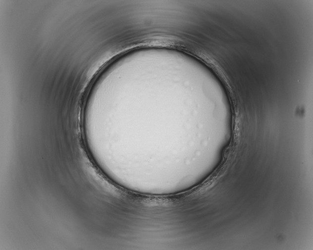 X0000114001083200910231746