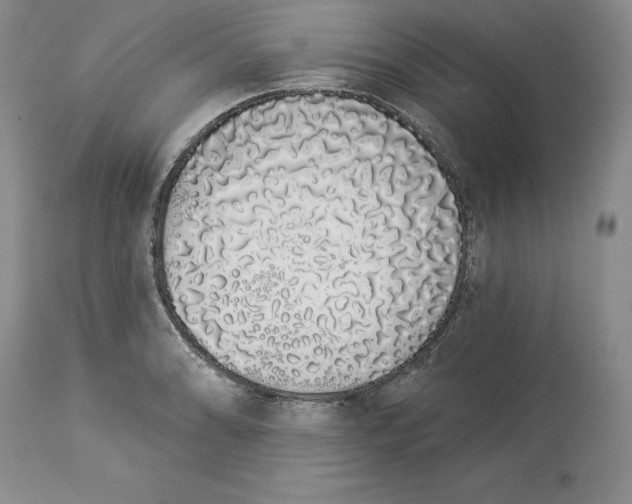 X0000114001086200910231746