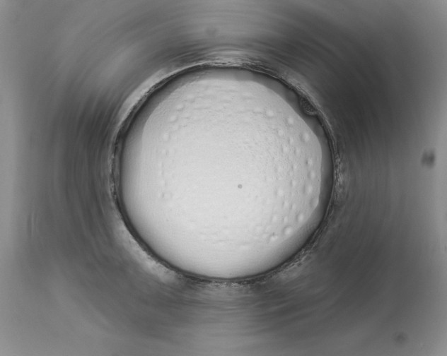 X0000114001091200910231746