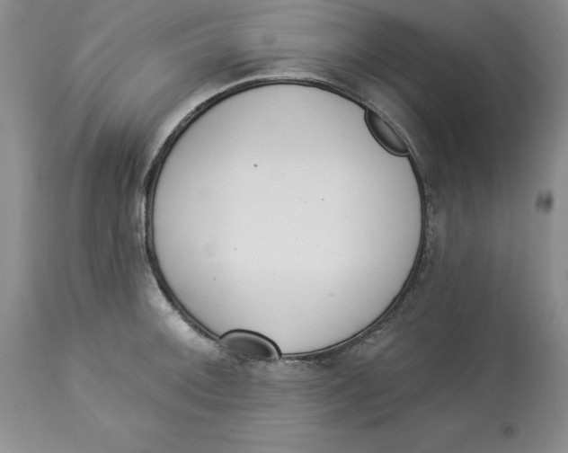 X0000114001092200910231746