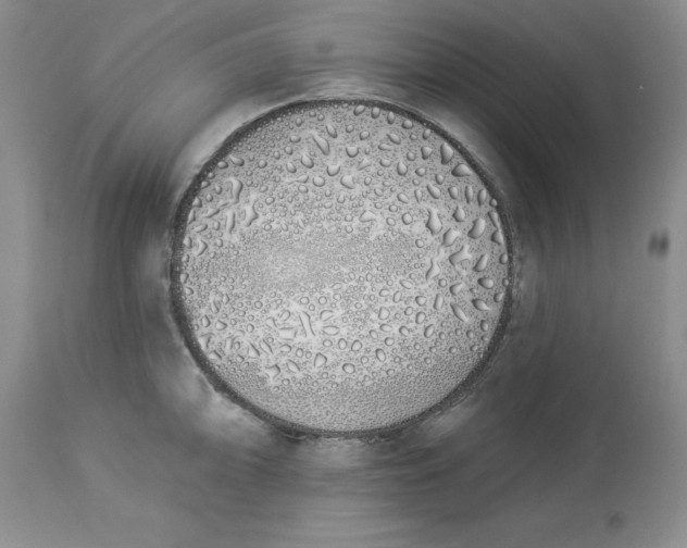X0000114001094200910231746