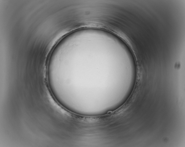 X0000114001095200910231746