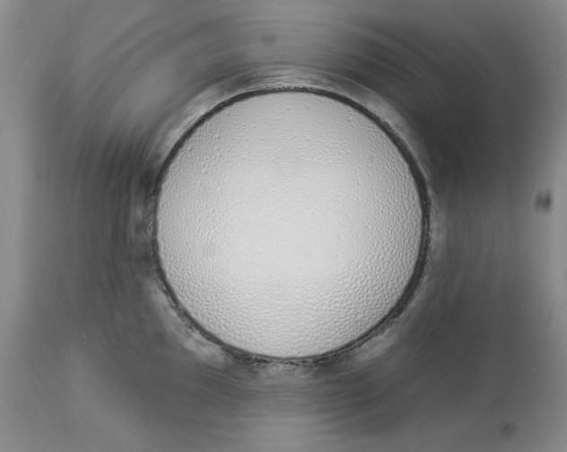 X0000114001097200910231746