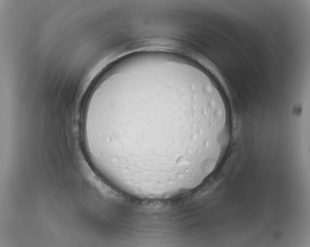 X0000114001099200910231746