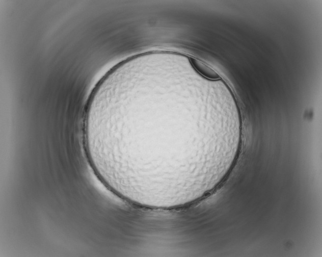 X0000114001100200910231746