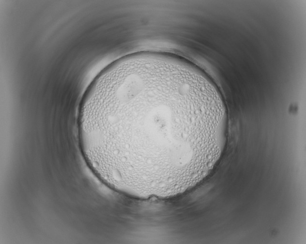 X0000114001103200910231746