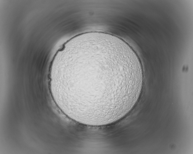 X0000114001104200910231746