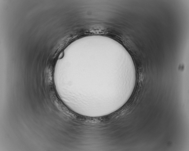 X0000114001106200910231745