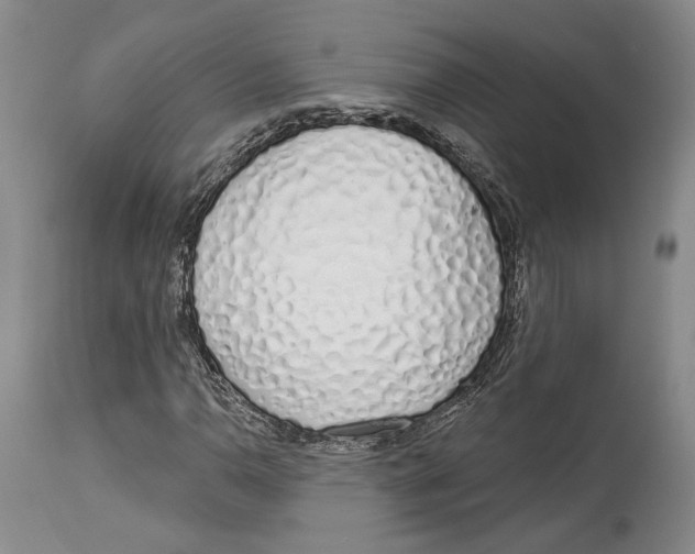 X0000114001110200910231745