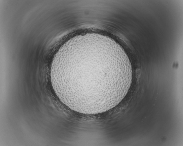 X0000114001111200910231745