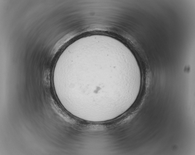 X0000114001113200910231745