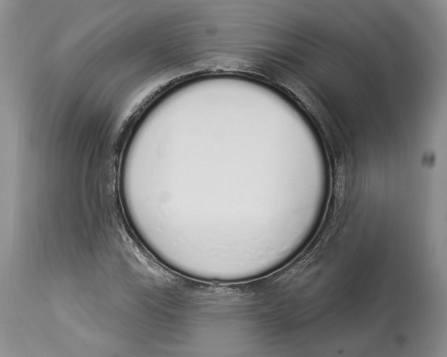 X0000114001115200910231746