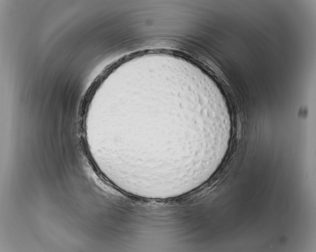 X0000114001116200910231746