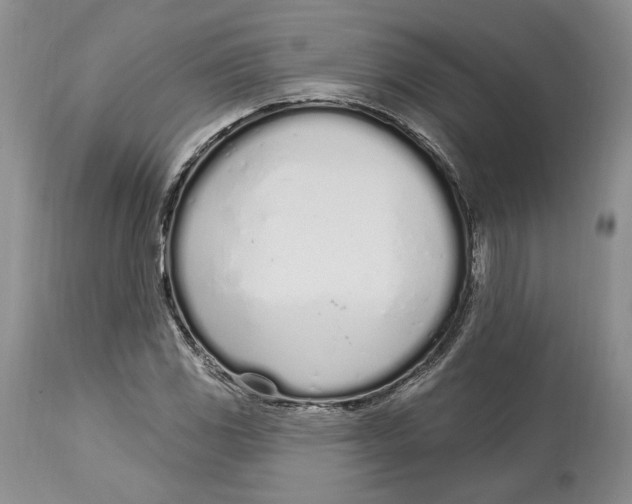 X0000114001117200910231746