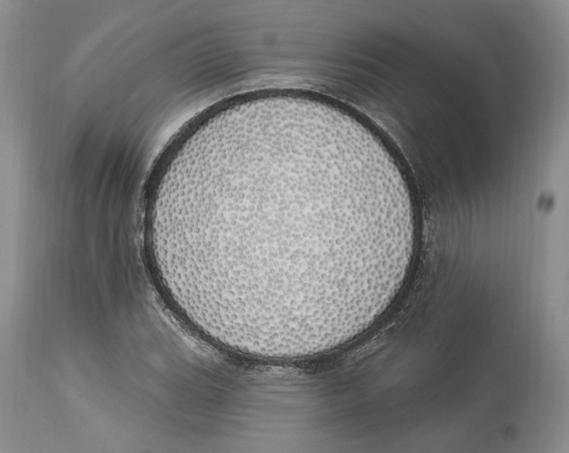 X0000114001119200910231746