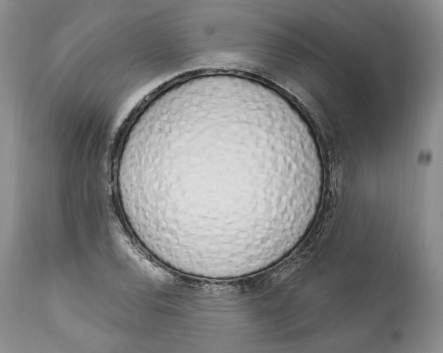 X0000114001120200910231746