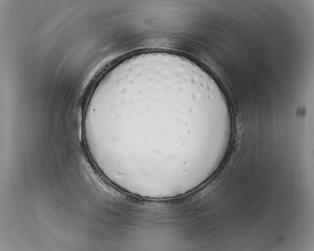 X0000114001123200910231746