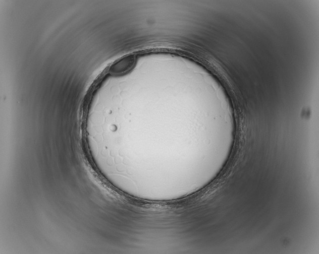 X0000114001124200910231746