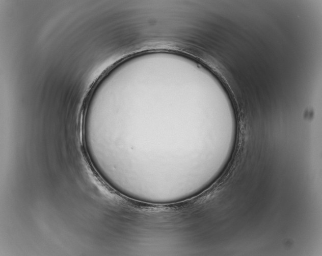 X0000114001127200910231746