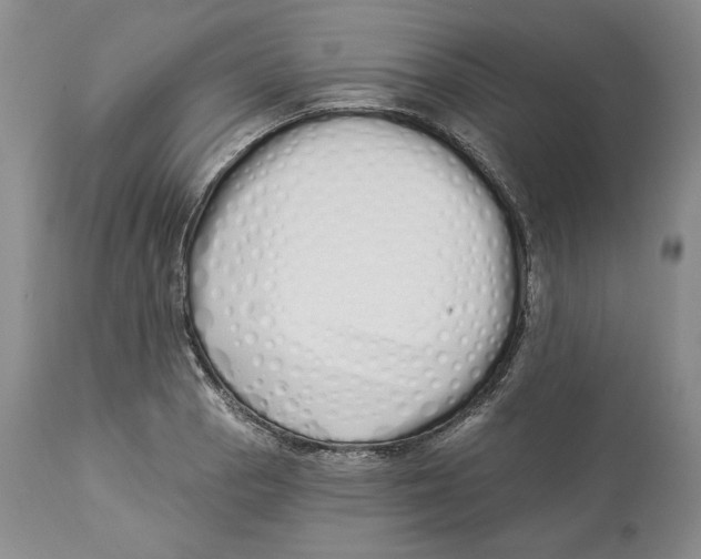 X0000114001129200910231746