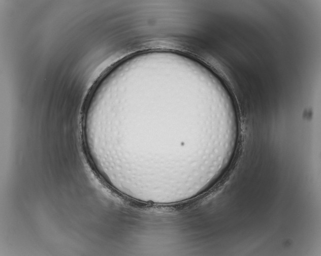 X0000114001133200910231746