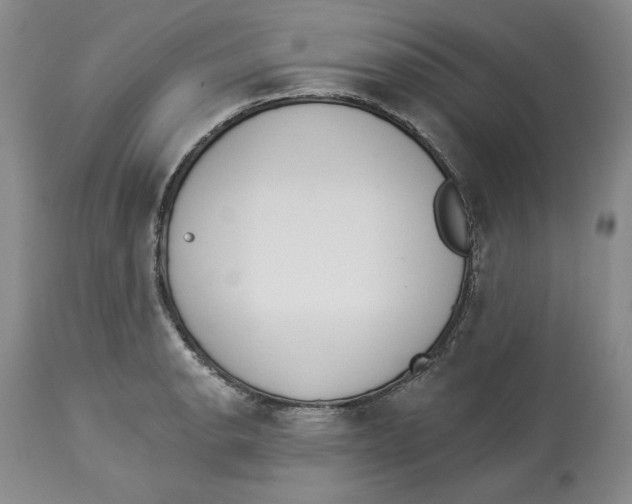 X0000114001134200910231746